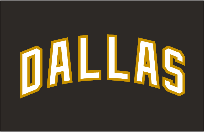 Dallas Stars 2007-2013 Jersey Logo t shirts DIY iron ons